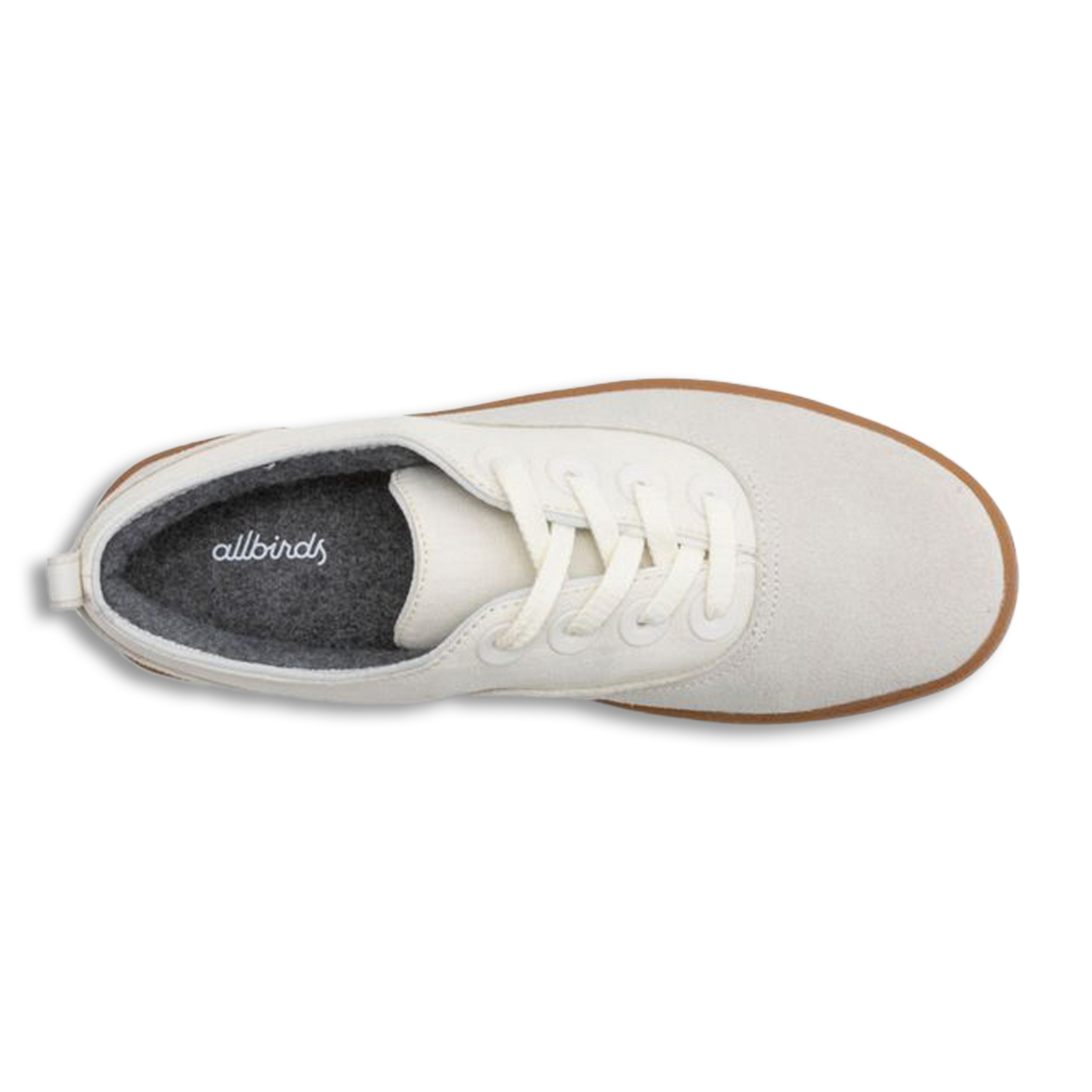 Allbirds M Cruiser Coastal in BEIGE