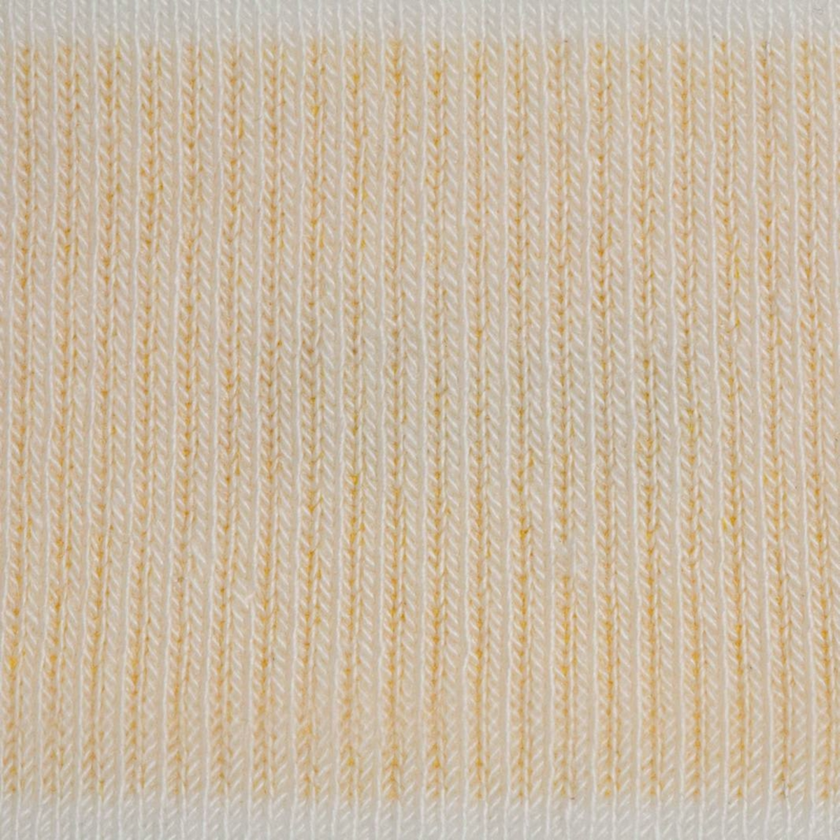 Allbirds Anytime No Show Sock in WEISS