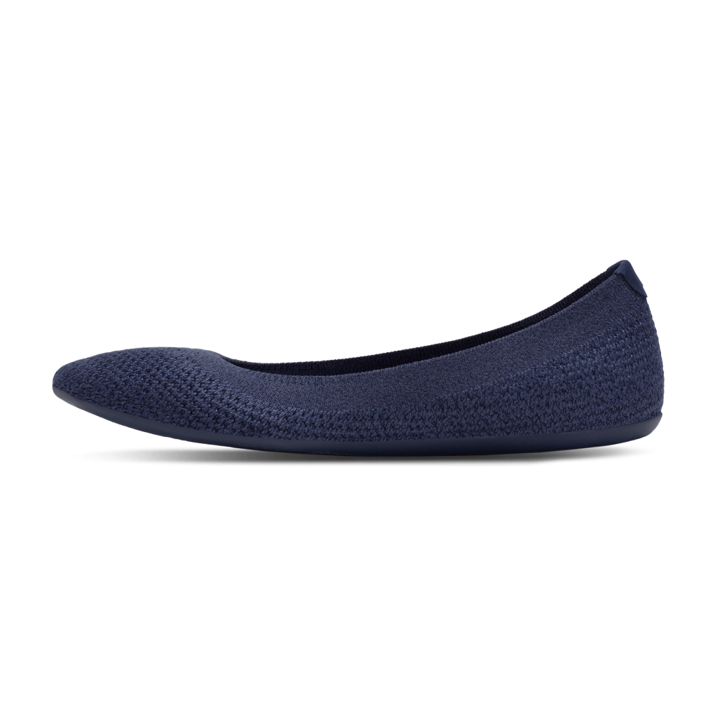 Allbirds W Tree Breezer Ballerinas in BLAU