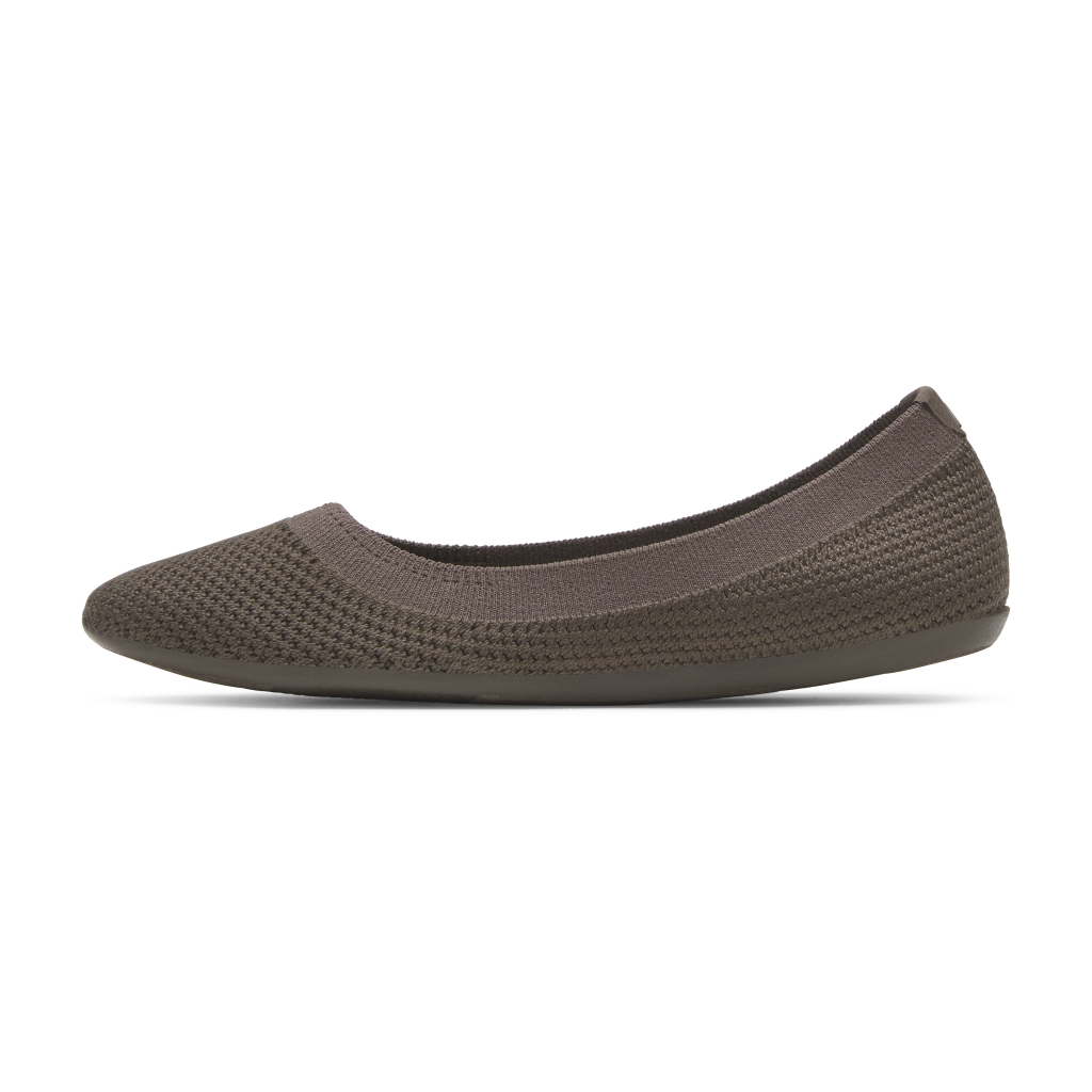 Allbirds W Tree Breezer Ballerinas in BRAUN