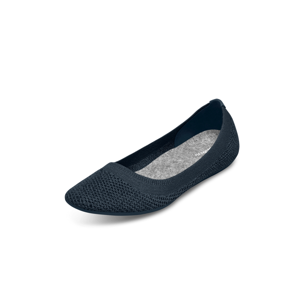 Allbirds W Tree Breezer Ballerinas in BLAU